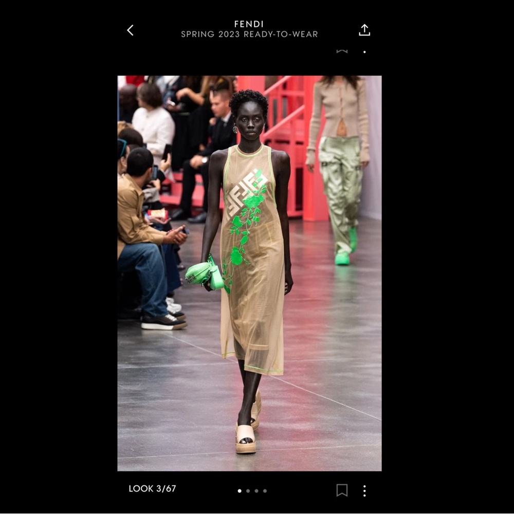Fendi Beige and Green Sheer Dress